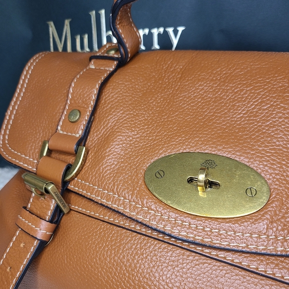 🌳 Mulberry Alexa Crossbody Satchel EUC - Picture 4 of 16